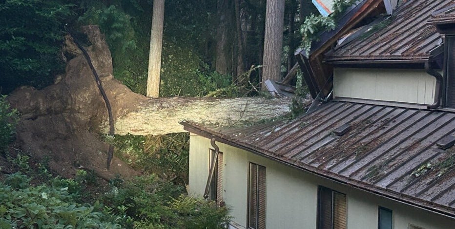 Woman dies after tree falls on Eastside home