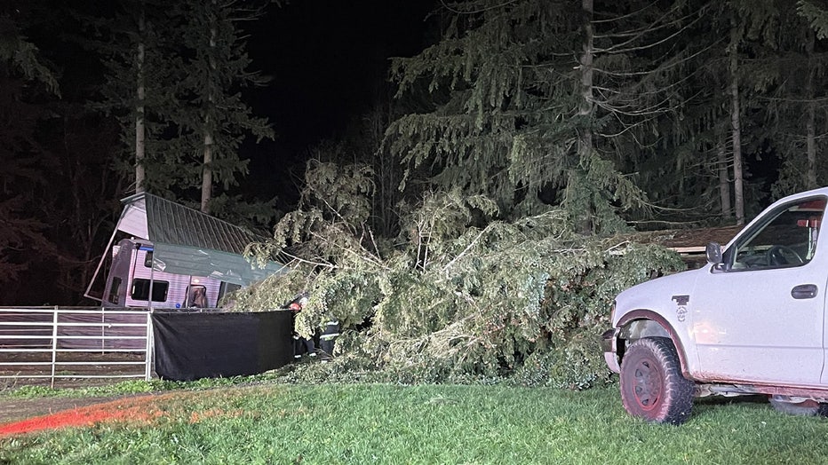 Two people are recovering in the hospital after a tree toppled onto their trailer in Maple Valley due to powerful winds from a bomb cyclone in Washington.
Puget Sound Fire (PSF) reported the rescue effort at 9:11 p.m. on Tuesday. They stated two individuals were trapped inside the trailer located near the corner of SE 184th St. and 246th Ave. SE. Rescue crews successfully freed one victim quickly. However, it took about an hour to pull the second patient from the wreckage. The PSF said that one patient was taken to a nearby hospital by ambulance, while King County Medic One took the other. The current conditions of the victims are unknown. 