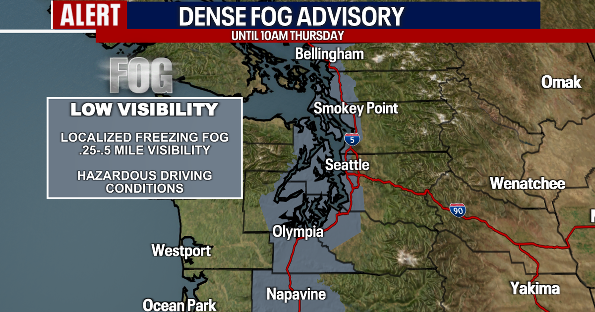 Dense Fog Advisory and chilly temps through Thursday morning | FOX 13 ...
