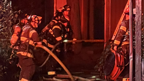 Everett, WA fire leaves man hospitalized, 2 cats dead