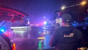 Deputies use K9, drones to capture car theft suspect in Olympia, WA