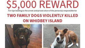 Reward offered after 2 family dogs killed, dumped in WA