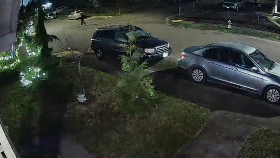 Tacoma family targeted by rock throwing vandal