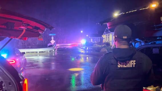 Deputies use K9, drones to capture car theft suspect in Olympia, WA