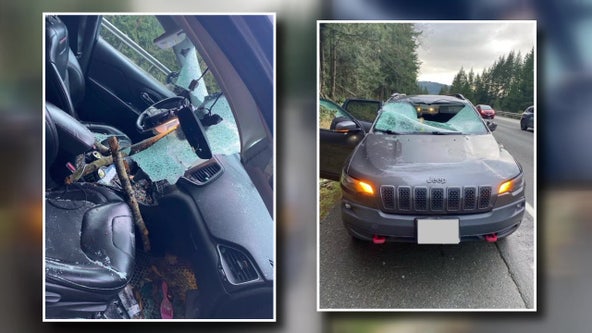 Tree crashes through Jeep on I-5, injuring 2 in Bellingham, WA