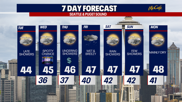 Is the rain going to hamper Seattle’s New Year’s Eve fireworks show? Here’s what we know
