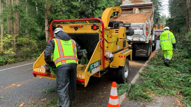 Bellevue, WA crews continue bomb cyclone debris cleanup over holiday weekend