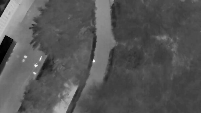 VIDEO: Drone helps catch Redmond, WA domestic violence suspect