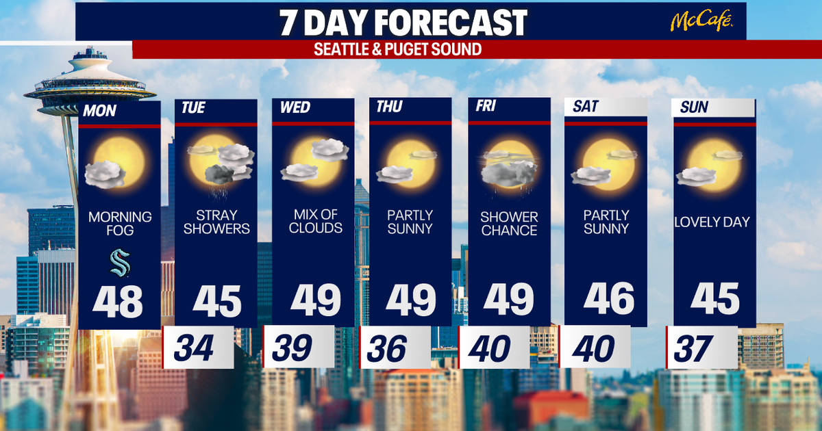 Lovely January sunshine ahead in Seattle this week | FOX 13 Seattle