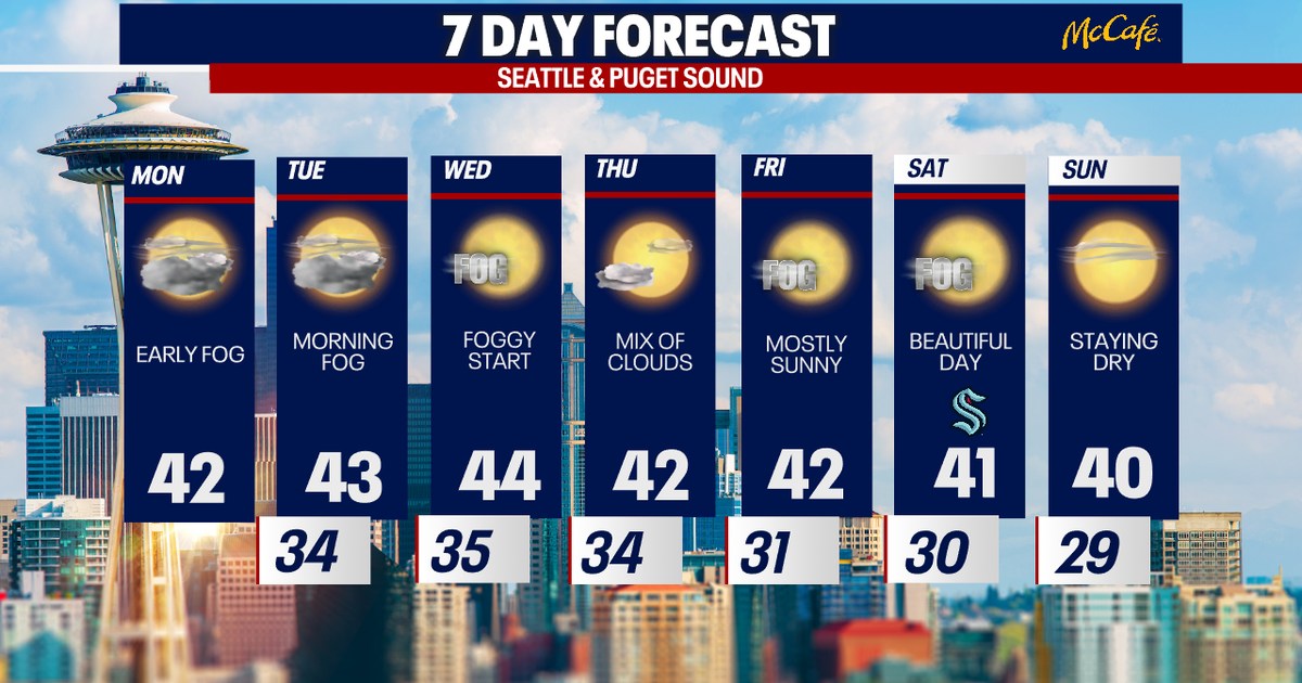 Foggy, dry weather and sunbreaks in Seattle | FOX 13 Seattle