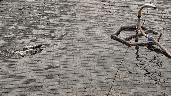 WA upholds ban on open-water ‘net pen’ salmon farms