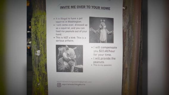 Who is posting the squirrel flyers in Seattle?