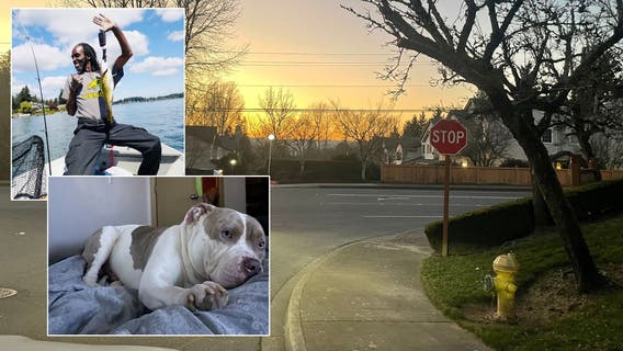 Victim of Renton hit-and-run credits dog with alerting family to get help