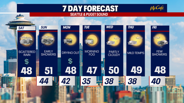 Rainy, gray weather in Seattle for the first weekend of 2025