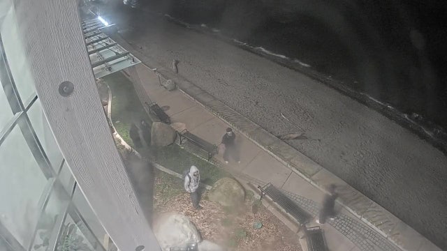 VIDEO: Police seek 5 suspects in Edmonds waterfront shooting