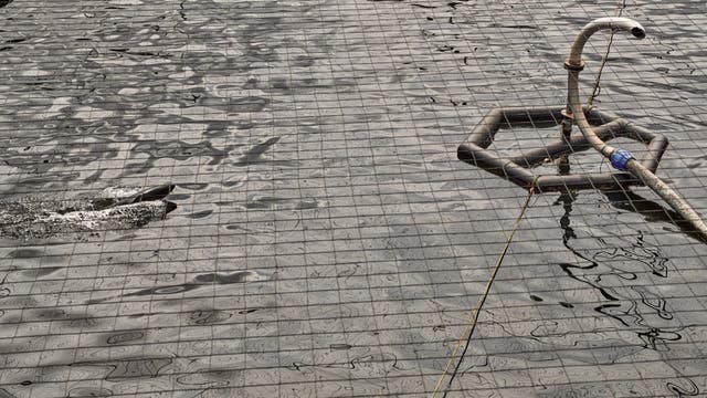 WA upholds ban on open-water ‘net pen’ salmon farms