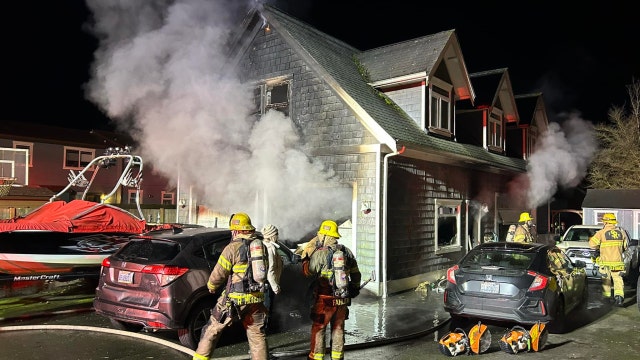 Cats, dog rescued from house fire in Lake Stevens, WA