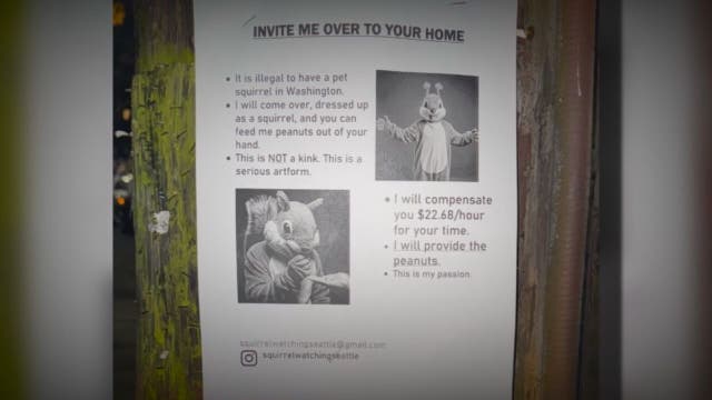 Who is posting the squirrel flyers in Seattle?