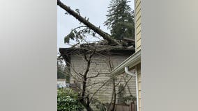Thousands still without power Tuesday night in hard-hit Kitsap Peninsula