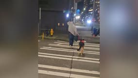 Woman allegedly assaulted in downtown Seattle after dog cleanup confrontation