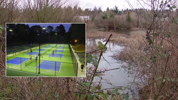 Pickleball court plans at Seattle's Magnuson Park could hurt wildlife, advocates say