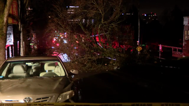 Powerful WA storm knocks down trees, leaves damage, thousands without power