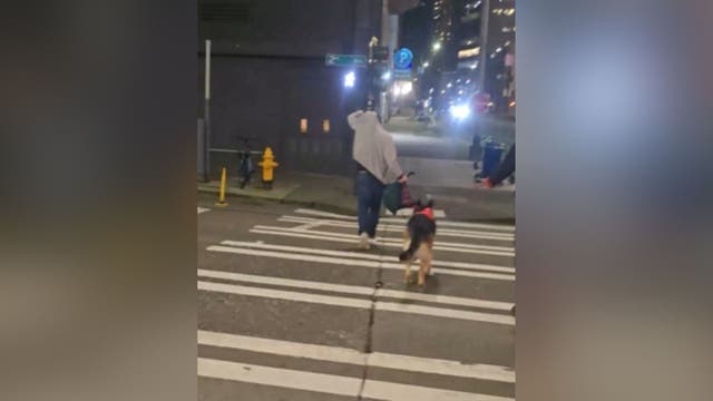 Woman allegedly assaulted in downtown Seattle after dog cleanup confrontation