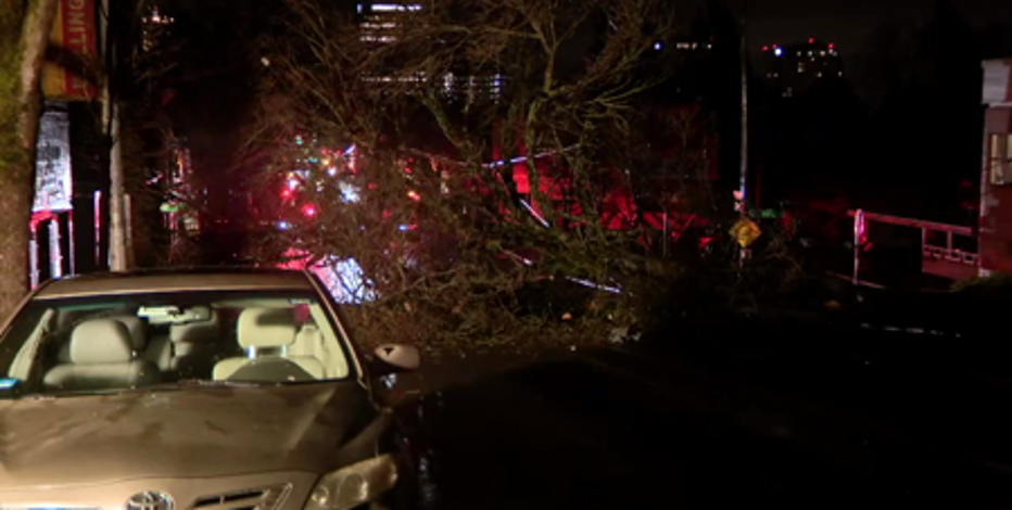 LIVE UPDATES: Powerful WA storm knocks down trees, leaves damage, thousands without power