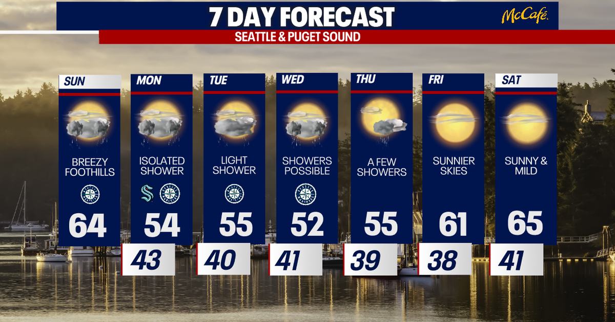 Seattle weather mild Sunday, rain to follow | FOX 13 Seattle