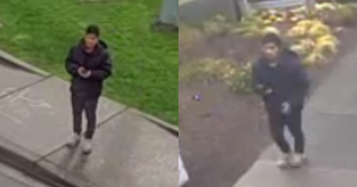 Suspect arrested in attempted kidnapping in Bellevue | FOX 13 Seattle