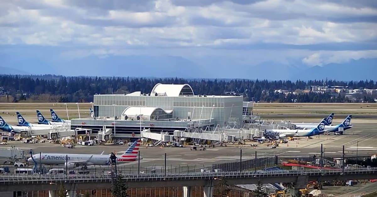 Spring travel at SEA Airport: Everything to know | FOX 13 Seattle