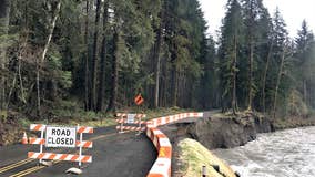 Hoh Rainforest Road reopens Thursday after months of storm repair