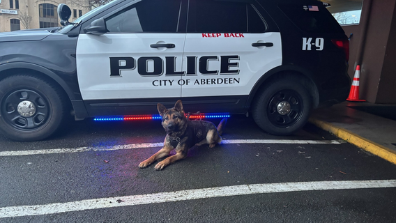 K9 helps Aberdeen police arrest man wanted for warrants