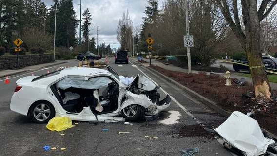 1 juvenile, 1 adult injured in Bellevue crash, road closed