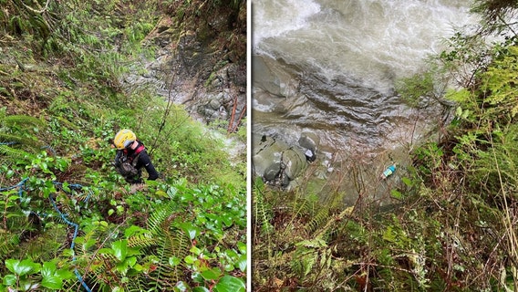 Body of missing WA woman found in Carbon River