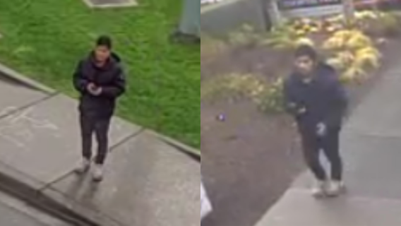 Suspect arrested in Bellevue, WA attempted kidnapping