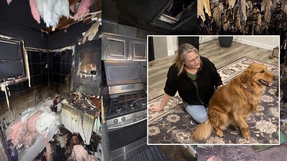 Teacher's pets escape Bremerton, WA fire through doggie door, community shows support