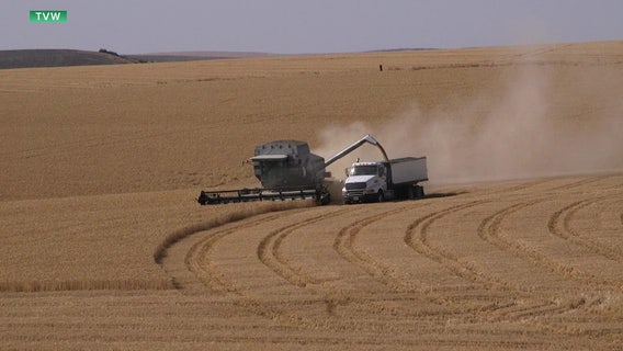 Washington groups detail how they are handling tariff impacts