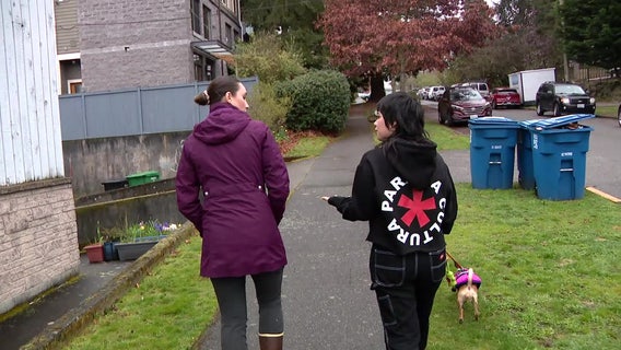 Bobcat or cougar? Magnolia residents report close call with wild cat