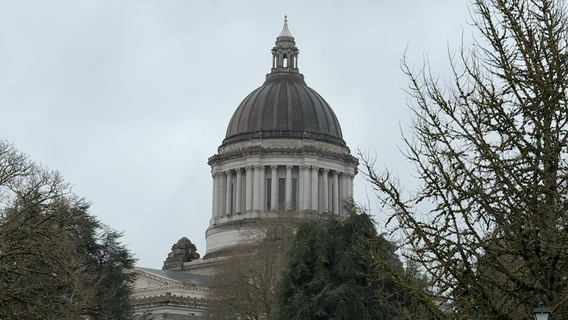 WA Senate Democrats hope to balance budget with new taxes on wealthy, changes to property, sales tax