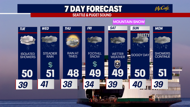 Seattle to experience gray, cool and damp weather this week