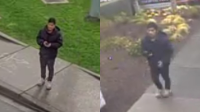 Suspect arrested in Bellevue, WA attempted kidnapping