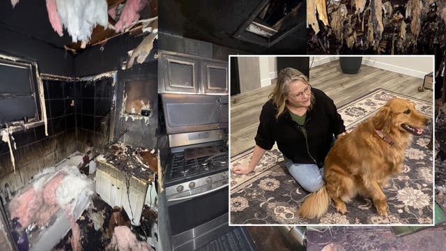 Teacher's pets escape Bremerton, WA fire through doggie door, community shows support
