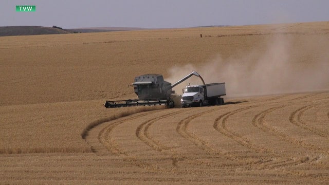 Washington groups detail how they are handling tariff impacts