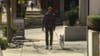 Seattle woman arrested for pit bull attacks: ‘Let him do his thing’