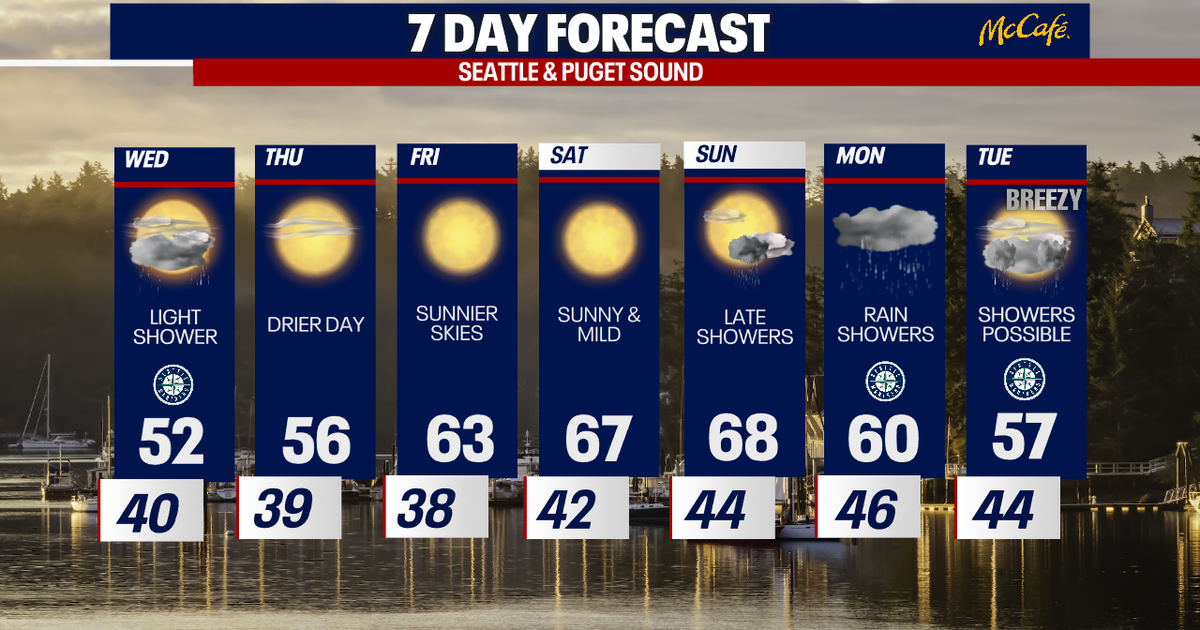 Spring in full swing in Seattle | FOX 13 Seattle