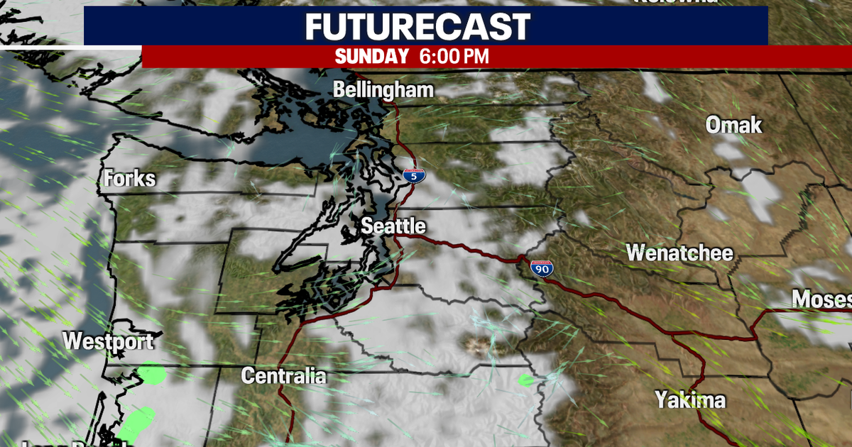Light Rain Returns Next Week | FOX 13 Seattle