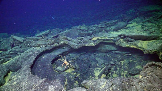 Underwater volcano poised to erupt off OR coast, Seattle scientists say