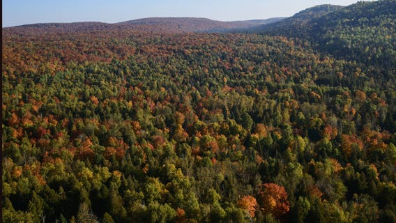 Trump order opens up all WA national forests for logging