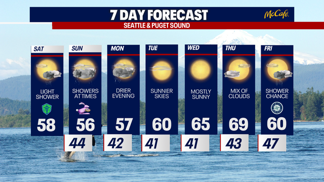 Seattle weather: Damp conditions for Easter Sunday